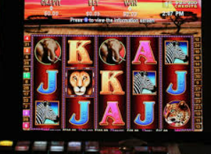 壹元娱乐官方网站手机版